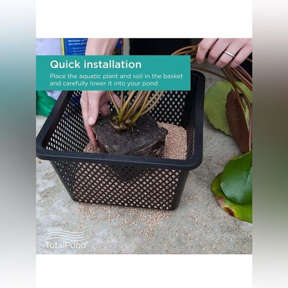 TotalPond Aquatic Plant Basket, 10-inch set of 3 - Picture 5 of 11